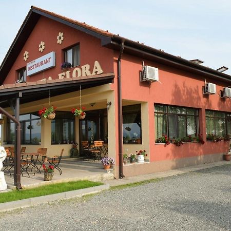 Pensiunea Flora Maroscsicsér Kültér fotó